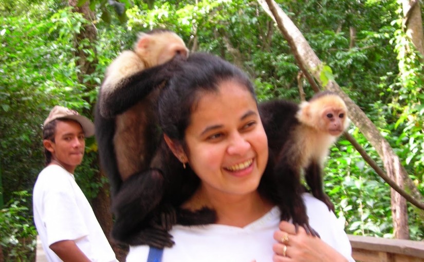 costa_rica_monkeys